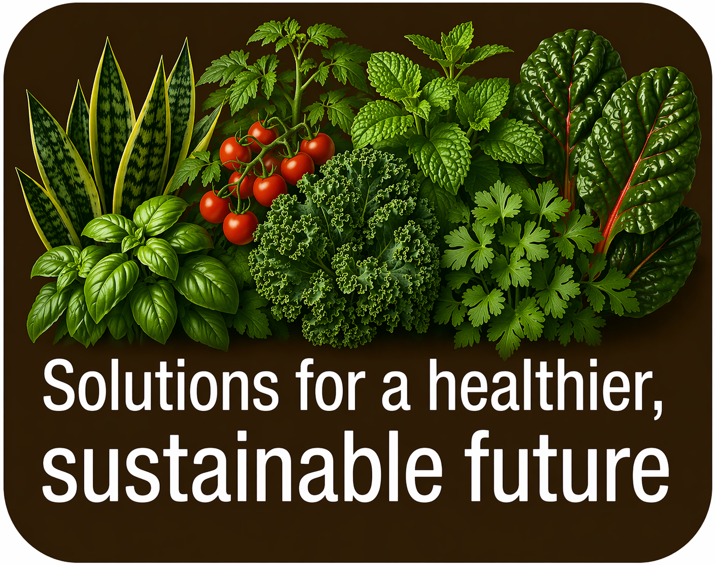 Solutions for a healthier, sustainable future